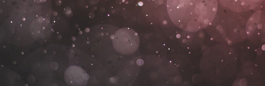 darlaschmitt9 Cover Image